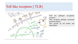 Toll like receptors [ TLR]
TLR are pathogen recognition
receptors .
They recognize pathogen associated
molecular pattern.
They present on cell surface and
intracellular.
 