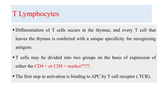 T Lymphocytes
 Differentiation of T cells occurs in the thymus, and every T cell that
leaves the thymus is conferred with a unique specificity for recognizing
antigens.
 T cells may be divided into two groups on the basis of expression of
either the CD4 + or CD8 + marker????.
 The first step in activation is binding to APC by T cell receptor ( TCR).
 