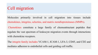 Cell migration
Molecules primarily involved in cell migration into tissues include
chemokines, integrins, selectins, and matrix metalloproteinases (MMPs).
Chemokines constitute a large family of chemoattractant peptides that
regulate the vast spectrum of leukocyte migration events through interactions
with chemokine receptors.
The integrin family includes VCAM-1, ICAM-1, LFA-3, CD45, and CD2 and
mediates adhesion to endothelial cells and guiding cell traffic.
 