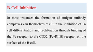 B-Cell Inhibition
In most instances the formation of antigen–antibody
complexes can themselves result in the inhibition of B-
cell differentiation and proliferation through binding of
the Fc receptor to the CD32 (FcγRIIB) receptor on the
surface of the B cell.
 