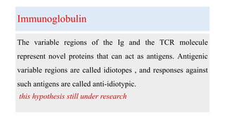 Immunoglobulin
The variable regions of the Ig and the TCR molecule
represent novel proteins that can act as antigens. Antigenic
variable regions are called idiotopes , and responses against
such antigens are called anti-idiotypic.
this hypothesis still under research
 