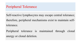 Peripheral Tolerance
Self-reactive lymphocytes may escape central tolerance;
therefore, peripheral mechanisms exist to maintain self-
tolerance.
Peripheral tolerance is maintained through clonal
anergy or clonal deletion.
 