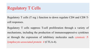 Regulatory T Cells
Regulatory T cells (T reg ) function to down regulate CD4 and CD8 T-
cell responses.
Regulatory T cells suppress T-cell proliferation through a variety of
mechanisms, including the production of immunosuppressive cytokines
or through the expression of inhibitory molecules such cytotoxic T-
lymphocyte-associated protein 4 (CTLA-4).
 