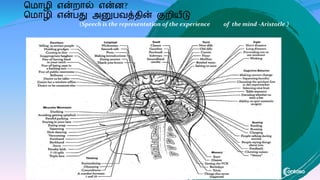 ம ாழி என்றால் என்ன?
ம ாழி என்பது அனுபவத்தின் குறிைீடு
(Speech is the representation of the experience of the mind -Aristotle )
 