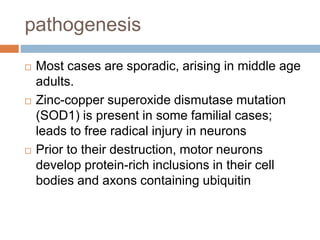 pathogenesis
 Most cases are sporadic, arising in middle age
adults.
 Zinc-copper superoxide dismutase mutation
(SOD1) is present in some familial cases;
leads to free radical injury in neurons
 Prior to their destruction, motor neurons
develop protein-rich inclusions in their cell
bodies and axons containing ubiquitin
 