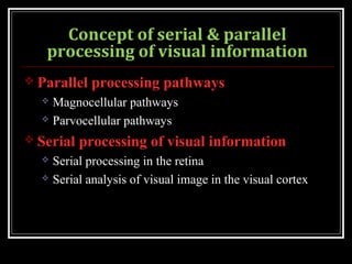 NEUROPHYSIOLOGY OF VISION | PPT