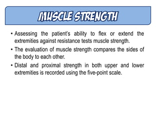 • Assessing the patient’s ability to flex or extend the
extremities against resistance tests muscle strength.
• The evaluation of muscle strength compares the sides of
the body to each other.
• Distal and proximal strength in both upper and lower
extremities is recorded using the five-point scale.
 
