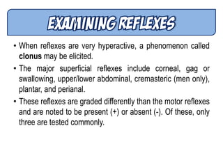• When reflexes are very hyperactive, a phenomenon called
clonus may be elicited.
• The major superficial reflexes include corneal, gag or
swallowing, upper/lower abdominal, cremasteric (men only),
plantar, and perianal.
• These reflexes are graded differently than the motor reflexes
and are noted to be present (+) or absent (-). Of these, only
three are tested commonly.
 