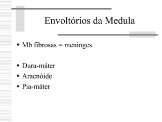 Envoltórios da Medula
Mb fibrosas = meninges
Dura-máter
Aracnóide
Pia-máter
 