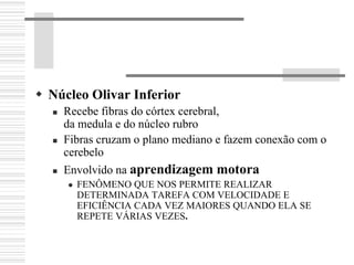 Núcleo Olivar Inferior
Recebe fibras do córtex cerebral,
da medula e do núcleo rubro
Fibras cruzam o plano mediano e fazem conexão com o
cerebelo
Envolvido na aprendizagem motora
FENÔMENO QUE NOS PERMITE REALIZAR
DETERMINADA TAREFA COM VELOCIDADE E
EFICIÊNCIA CADA VEZ MAIORES QUANDO ELA SE
REPETE VÁRIAS VEZES.
 