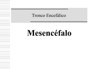 Tronco Encefálico
Mesencéfalo
 