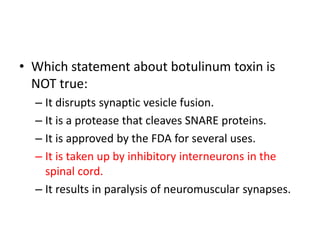 • Which statement about botulinum toxin is
NOT true:
– It disrupts synaptic vesicle fusion.
– It is a protease that cleaves SNARE proteins.
– It is approved by the FDA for several uses.
– It is taken up by inhibitory interneurons in the
spinal cord.
– It results in paralysis of neuromuscular synapses.
 