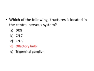 • Which of the following structures is located in
the central nervous system?
a) DRG
b) CN 7
c) CN 3
d) Olfactory bulb
e) Trigeminal ganglion
 