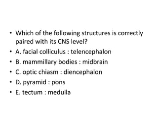 • Which of the following structures is correctly
paired with its CNS level?
• A. facial colliculus : telencephalon
• B. mammillary bodies : midbrain
• C. optic chiasm : diencephalon
• D. pyramid : pons
• E. tectum : medulla
 