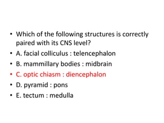 • Which of the following structures is correctly
paired with its CNS level?
• A. facial colliculus : telencephalon
• B. mammillary bodies : midbrain
• C. optic chiasm : diencephalon
• D. pyramid : pons
• E. tectum : medulla
 