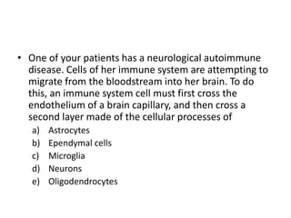 • One of your patients has a neurological autoimmune
disease. Cells of her immune system are attempting to
migrate from the bloodstream into her brain. To do
this, an immune system cell must first cross the
endothelium of a brain capillary, and then cross a
second layer made of the cellular processes of
a) Astrocytes
b) Ependymal cells
c) Microglia
d) Neurons
e) Oligodendrocytes
 