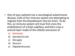 • One of your patients has a neurological autoimmune
disease. Cells of her immune system are attempting to
migrate from the bloodstream into her brain. To do
this, an immune system cell must first cross the
endothelium of a brain capillary, and then cross a
second layer made of the cellular processes of
a) Astrocytes
b) Ependymal cells
c) Microglia
d) Neurons
e) Oligodendrocytes
 