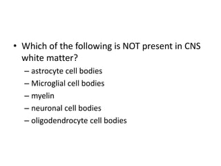• Which of the following is NOT present in CNS
white matter?
– astrocyte cell bodies
– Microglial cell bodies
– myelin
– neuronal cell bodies
– oligodendrocyte cell bodies
 