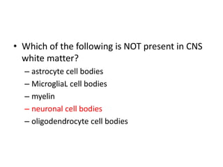 • Which of the following is NOT present in CNS
white matter?
– astrocyte cell bodies
– MicrogliaL cell bodies
– myelin
– neuronal cell bodies
– oligodendrocyte cell bodies
 