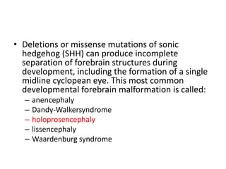 • Deletions or missense mutations of sonic
hedgehog (SHH) can produce incomplete
separation of forebrain structures during
development, including the formation of a single
midline cyclopean eye. This most common
developmental forebrain malformation is called:
– anencephaly
– Dandy-Walkersyndrome
– holoprosencephaly
– lissencephaly
– Waardenburg syndrome
 