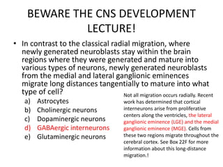 BEWARE THE CNS DEVELOPMENT
LECTURE!
• In contrast to the classical radial migration, where
newly generated neuroblasts stay within the brain
regions where they were generated and mature into
various types of neurons, newly generated neuroblasts
from the medial and lateral ganglionic eminences
migrate long distances tangentially to mature into what
type of cell?
a) Astrocytes
b) Cholinergic neurons
c) Dopaminergic neurons
d) GABAergic interneurons
e) Glutaminergic neurons
Not all migration occurs radially. Recent
work has determined that cortical
interneurons arise from proliferative
centers along the ventricles, the lateral
ganglionic eminence (LGE) and the medial
ganglionic eminence (MGE). Cells from
these two regions migrate throughout the
cerebral cortex. See Box 22F for more
information about this long-distance
migration.!
 