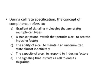 • During cell fate specification, the concept of
competence refers to:
a) Gradient of signaling molecules that generates
multiple cell types
b) A transcriptional switch that permits a cell to secrete
inducing factors
c) The ability of a cell to maintain an uncommitted
state almost indefinitely
d) The capacity of a cell to respond to inducing factors
e) The signaling that instructs a cell to end its
migraiton.
 