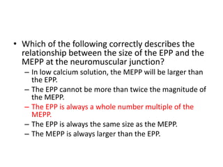 • Which of the following correctly describes the
relationship between the size of the EPP and the
MEPP at the neuromuscular junction?
– In low calcium solution, the MEPP will be larger than
the EPP.
– The EPP cannot be more than twice the magnitude of
the MEPP.
– The EPP is always a whole number multiple of the
MEPP.
– The EPP is always the same size as the MEPP.
– The MEPP is always larger than the EPP.
 