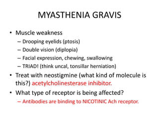 MYASTHENIA GRAVIS
• Muscle weakness
– Drooping eyelids (ptosis)
– Double vision (diplopia)
– Facial expression, chewing, swallowing
– TRIAD! (think uncal, tonsillar herniation)
• Treat with neostigmine (what kind of molecule is
this?) acetylcholinesterase inhibitor.
• What type of receptor is being affected?
– Antibodies are binding to NICOTINIC Ach receptor.
 