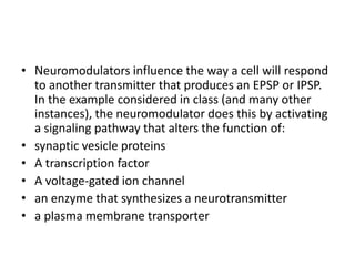 • Neuromodulators influence the way a cell will respond
to another transmitter that produces an EPSP or IPSP.
In the example considered in class (and many other
instances), the neuromodulator does this by activating
a signaling pathway that alters the function of:
• synaptic vesicle proteins
• A transcription factor
• A voltage-gated ion channel
• an enzyme that synthesizes a neurotransmitter
• a plasma membrane transporter
 