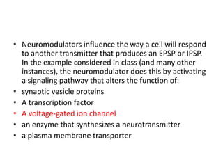 • Neuromodulators influence the way a cell will respond
to another transmitter that produces an EPSP or IPSP.
In the example considered in class (and many other
instances), the neuromodulator does this by activating
a signaling pathway that alters the function of:
• synaptic vesicle proteins
• A transcription factor
• A voltage-gated ion channel
• an enzyme that synthesizes a neurotransmitter
• a plasma membrane transporter
 