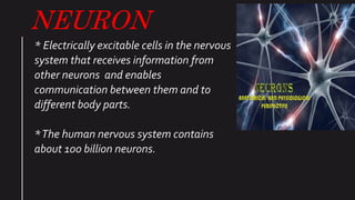 NEURON
* Electrically excitable cells in the nervous
system that receives information from
other neurons and enables
communication between them and to
different body parts.
*The human nervous system contains
about 100 billion neurons.
 