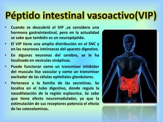 Péptido intestinal vasoactivo(VIP)
• Cuando se descubrió el VIP ,se considero una
hormona gastrointestinal, pero en la actualidad
se sabe que también es un neuropéptido.
• El VIP tiene una amplia distribución en el SNC y
en las neuronas intrínsecas del aparato digestivo.
• En algunas neuronas del cerebro, se le ha
localizado en vesículas sinápticas.
• Puede funcionar como un transmisor inhibidor
del musculo liso vascular y como un transmisor
excitador de las células epiteliales glandulares.
• Pertenece a la familia de las secretinas. Se
localiza en el tubo digestivo, donde regula la
vasodilatación de la región esplacnica. Se sabe
que tiene efecto neuromodulador, ya que la
estimulación de sus receptores potencia el efecto
de las catecolaminas.
 