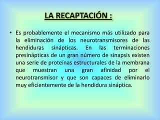 LA RECAPTACIÓN :
• Es probablemente el mecanismo más utilizado para
la eliminación de los neurotransmisores de las
hendiduras sinápticas. En las terminaciones
presinápticas de un gran número de sinapsis existen
una serie de proteínas estructurales de la membrana
que muestran una gran afinidad por el
neurotransmisor y que son capaces de eliminarlo
muy eficientemente de la hendidura sináptica.
 