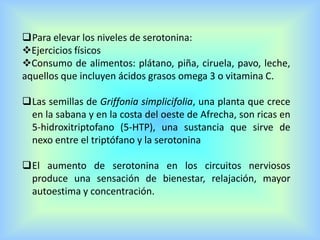 Para elevar los niveles de serotonina:
Ejercicios físicos
Consumo de alimentos: plátano, piña, ciruela, pavo, leche,
aquellos que incluyen ácidos grasos omega 3 o vitamina C.
Las semillas de Griffonia simplicifolia, una planta que crece
en la sabana y en la costa del oeste de Afrecha, son ricas en
5-hidroxitriptofano (5-HTP), una sustancia que sirve de
nexo entre el triptófano y la serotonina
El aumento de serotonina en los circuitos nerviosos
produce una sensación de bienestar, relajación, mayor
autoestima y concentración.
 