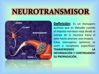 Definición: Es un mensajero
químico que es liberado cuando
el impulso nervioso viaja desde el
cuerpo de la neurona hacia el
axón hasta alcanzar una sinapsis.
Estos mensajeros químicos se
unen a receptores específicos:
TRANSFIRIENDO LA
INFORMACIÓN Y CONTINUANDO
SU PROPAGACIÓN.
 