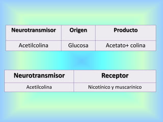 Neurotransmisor Receptor
Acetilcolina Nicotínico y muscarínico
Neurotransmisor Origen Producto
Acetilcolina Glucosa Acetato+ colina
 
