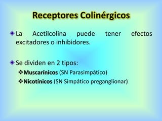 Receptores Colinérgicos
La Acetilcolina puede tener efectos
excitadores o inhibidores.
Se dividen en 2 tipos:
Muscarínicos (SN Parasimpático)
Nicotínicos (SN Simpático preganglionar)
 