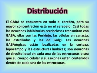 Distribución
El GABA se encuentra en todo el cerebro, pero su
mayor concentración está en el cerebelo. Casi todas
las neuronas inhibitorias cerebelosas transmitan con
GABA, ellas son las Purkinje, las células en canasta,
las estrelladas y las de Golgi. Las neuronas
GABAérgicas están localizadas en la corteza,
hipocampo y las estructuras límbicas; son neuronas
de circuito local en cada una de las estructuras o sea
que su cuerpo celular y sus axones están contenidos
dentro de cada una de las estructuras.
 