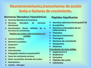 Neurotransmisores,transmisores de acción
lenta o factores de crecimiento.
Hormonas liberadoras hipotalámicas Péptidos hipofisarios
Hormona liberadora de tirotropina
Hormona liberadora de hormona
luteinizante
Somatostatina (factor inhibidor de la
hormona de crecimiento)
Péptidos que actúan sobre el intestino y el
encéfalo
Leucina-encefalina
Metionina-encefalina
Sustancia P
Gastrina
Colecistocinina
Polipéptido intestinal vasoactivo(VIP)
Factor de crecimiento nervioso
Factor neurotrófico derivado del cerebro
Neurotensina
Insulina ; Glucagon
Hormona adrenocorticotropa(ACTH)
Β-endorfina
Hormona estimuladora de los
melanocitos α
Prolactina
Hormona luteinizante
Tirotropina
Hormona de crecimiento
Vasopresina
Oxitocina
Procedentes de otros tejidos
Angiotensina II
Bradicinina
Carnosina
Péptidos del sueño
Calcitonina
 