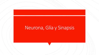 Neurona, Glía y Sinapsis
 