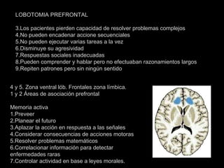 LOBOTOMIA PREFRONTAL Los pacientes pierden capacidad de resolver problemas complejos No pueden encadenar accione secuenciales No pueden ejecutar varias tareas a la vez Disminuye su agresividad Respuestas sociales inadecuadas Pueden comprender y hablar pero no efectuaban razonamientos largos Repiten patrones pero sin ningún sentido 4 y 5. Zona ventral lób. Frontales zona límbica. 1 y 2 Áreas de asociación prefrontal Memoria activa 1.Preveer 2.Planear el futuro 3.Aplazar la acción en respuesta a las señales 4.Considerar consecuencias de acciones motoras 5.Resolver problemas matemáticos 6.Correlacionar información para detectar enfermedades raras 7.Controlar actividad en base a leyes morales. 