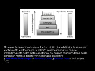 Sistemas de la memoria humana. La disposición piramidal indica la secuencia evolutiva (filo y ontogenética, la relación de dependencia y el carácter implícito/explícito de los distintos sistemas, así como la correspondencia con la dimensión memoria declarativa/ memoria no declarativa ( José María Ruiz-Vargas ,  Memoria y Olvido ,  Editorial Trotta  2002 página 300) 