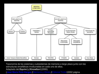 Taxonomía de los sistemas y subsistemas de memoria a largo plazo junto con las estructuras encefálicas involucradas en cada uno de ellos. Adaptado de  Squire  y  Knowlton  (2000) ( José María Ruiz-Vargas ,  Memoria y Olvido ,  Editorial Trotta  2002 página  292) 