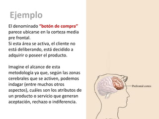 Ejemplo
El denominado “botón de compra”
parece ubicarse en la corteza media
pre frontal.
Si esta área se activa, el cliente no
está deliberando, está decidido a
adquirir o poseer el producto.

Imagine el alcance de esta
metodología ya que, según las zonas
cerebrales que se activen, podemos
indagar (entre muchos otros
aspectos), cuáles son los atributos de
un producto o servicio que generan
aceptación, rechazo o indiferencia.
 