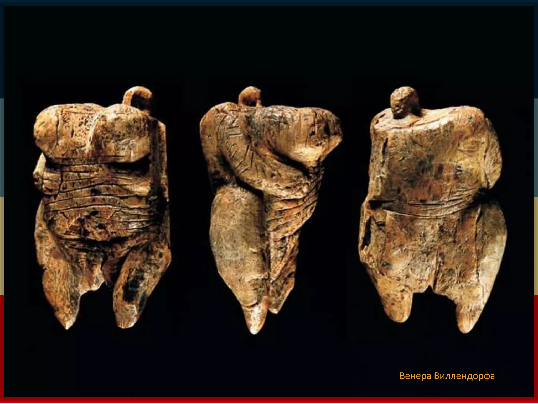 Венера Виллендорфа 
 