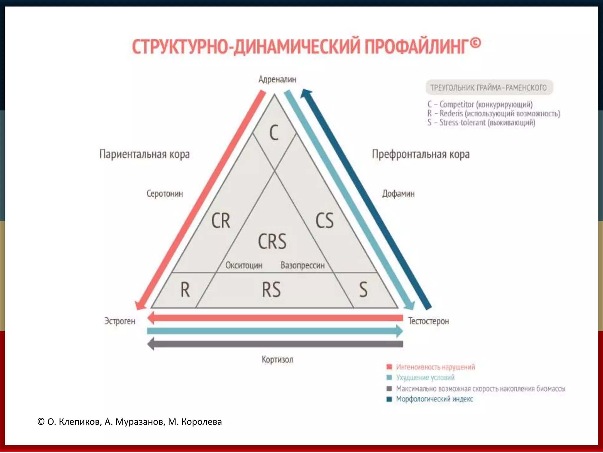 © О. Клепиков, А. Муразанов, М. Королева 
 