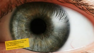 So, if beauty is not in the eye but in the
brain. That brings us onto another
important question.
What is the function of the brain?
 