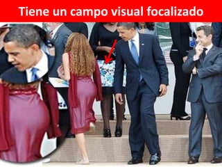 Tiene un campo visual focalizado

 