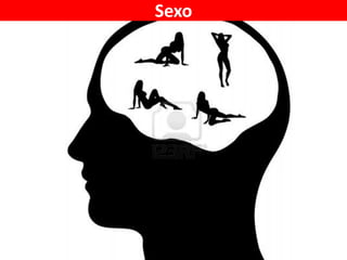 Sexo

 