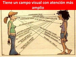 Tiene un campo visual con atención más
amplio

 
